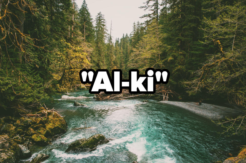 River running through Olympic National Forest