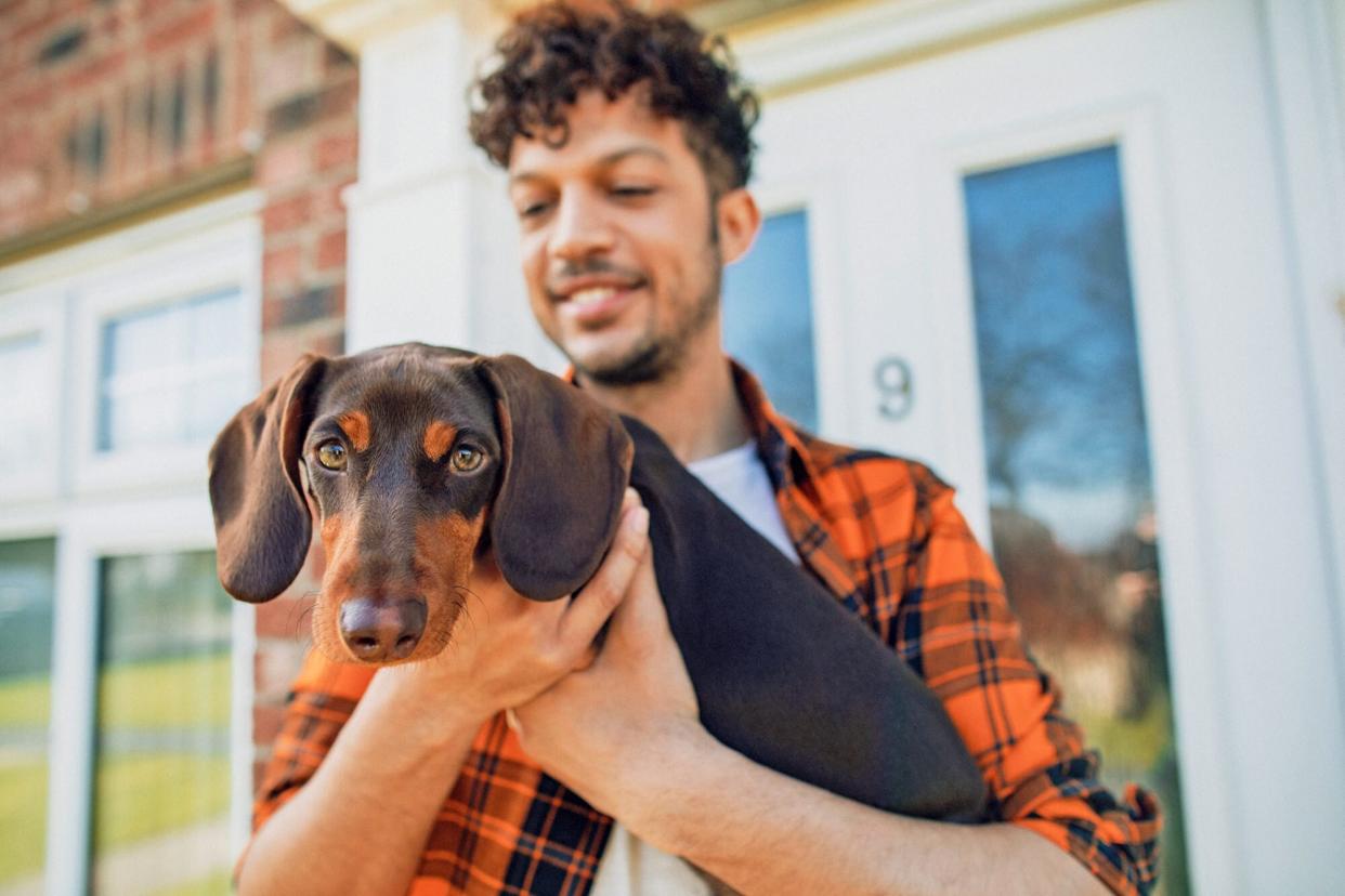 man holding a dachshund in his arms on the front porch; dogs with long snouts