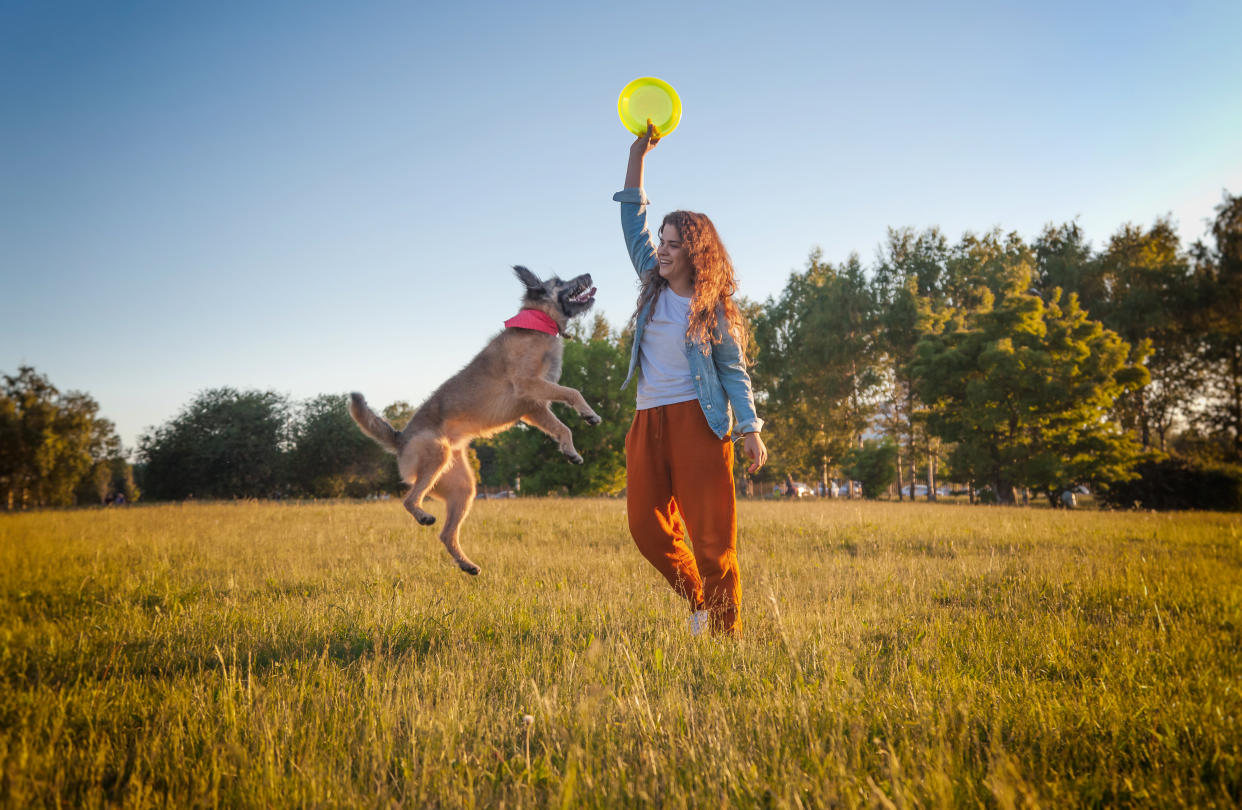 Girl playing frisbee with dog. (Getty Images)