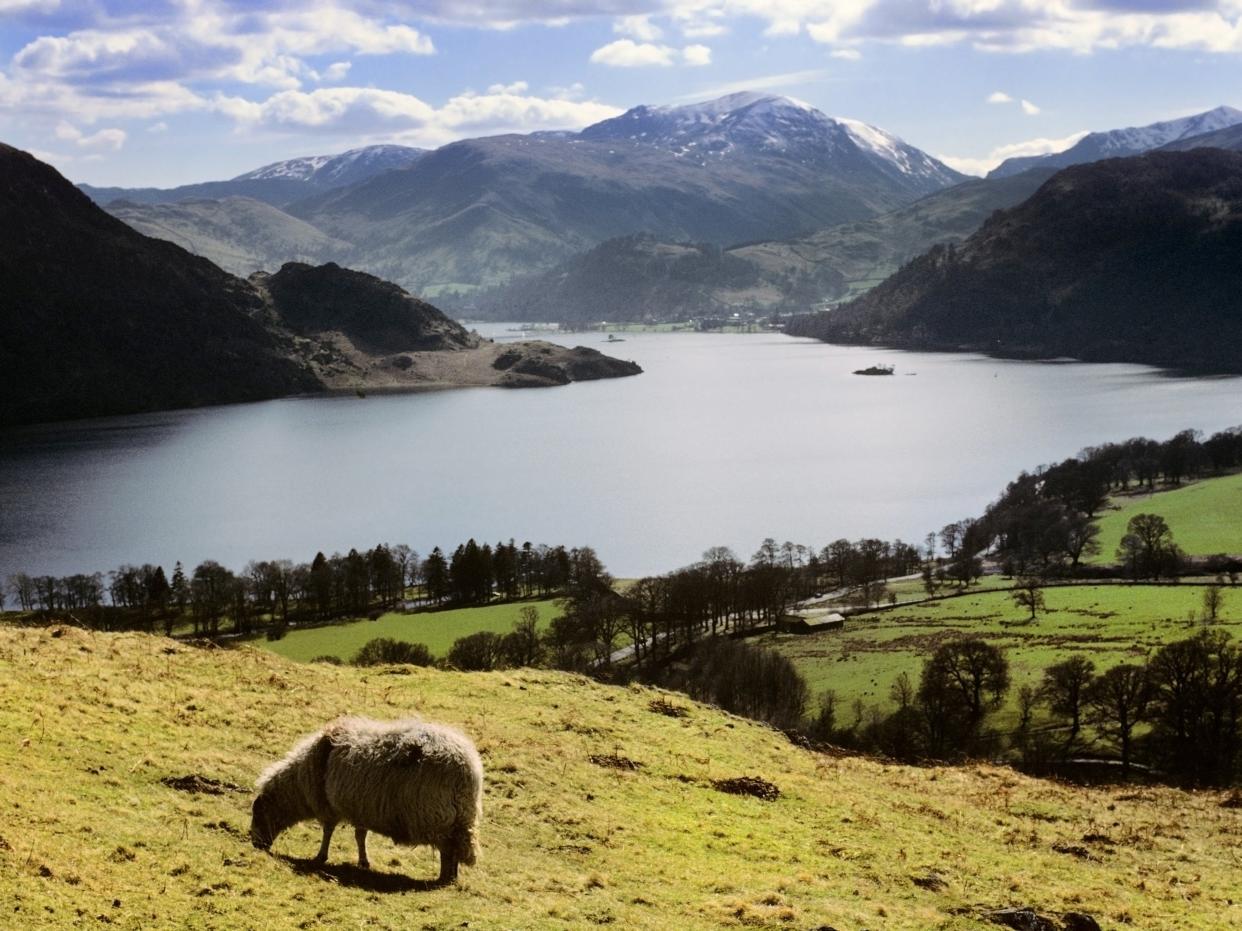 Ullswater in the Eden District part of the Lake District - one of the areas with considerable reforestation potential (Getty)