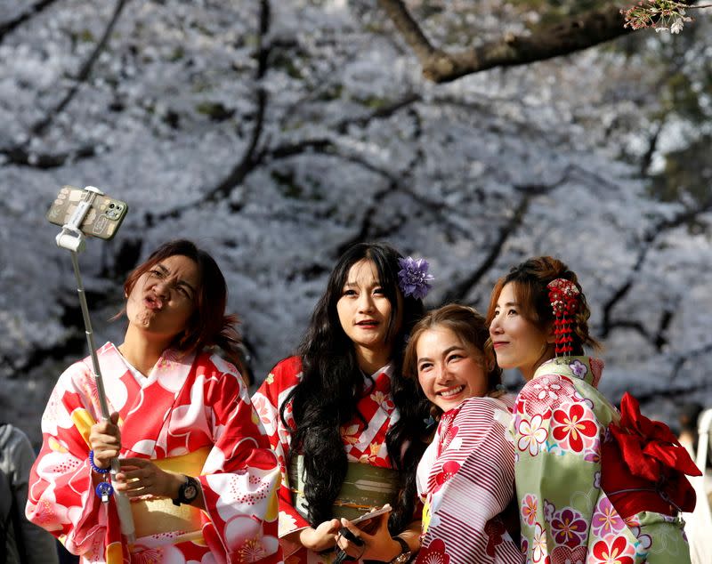 FILE PHOTO: Blooming cherry blossom in Tokyo