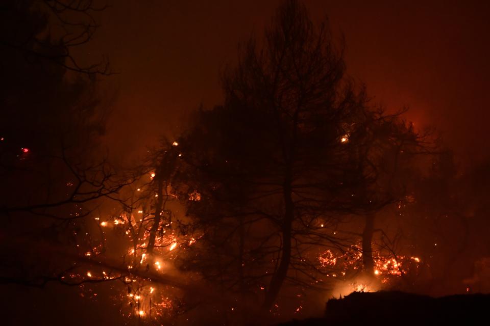 A wildfire burns a forest in Afidnes area, northern Athens, Greece, Thursday, Aug. 5, 2021.Wildfires rekindled outside Athens and forced more evacuations around southern Greece Thursday as weather conditions worsened and firefighters in a round-the-clock battle stopped the flames just outside the birthplace of the ancient Olympics. (AP Photo/Michael Varaklas)