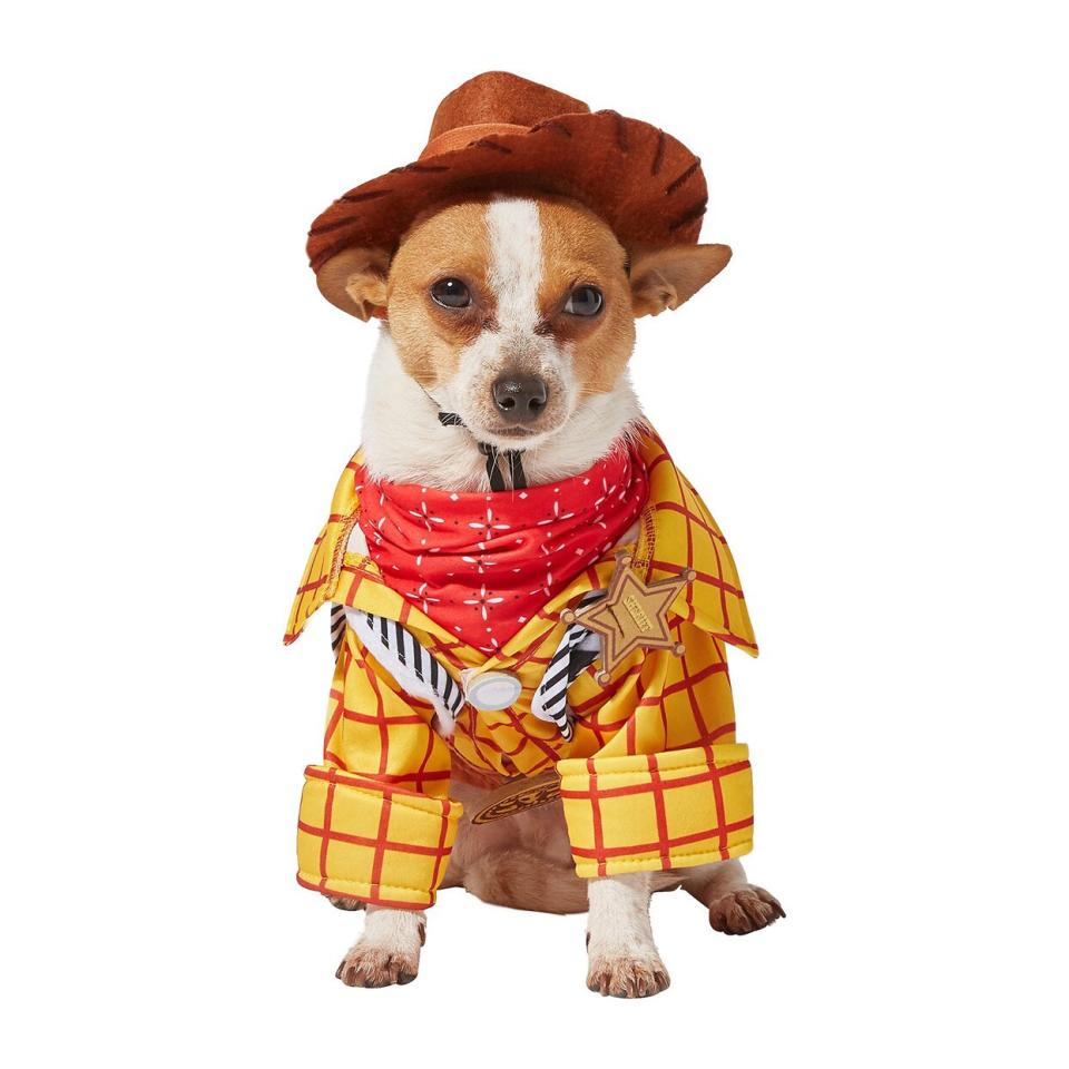 Dog wearing a Rubie’s Costume Company Toy Story Woody Costume on a white background
