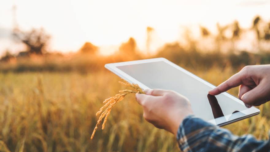 El agro, una de las industrias que más utilizan las TIC a nivel nacional