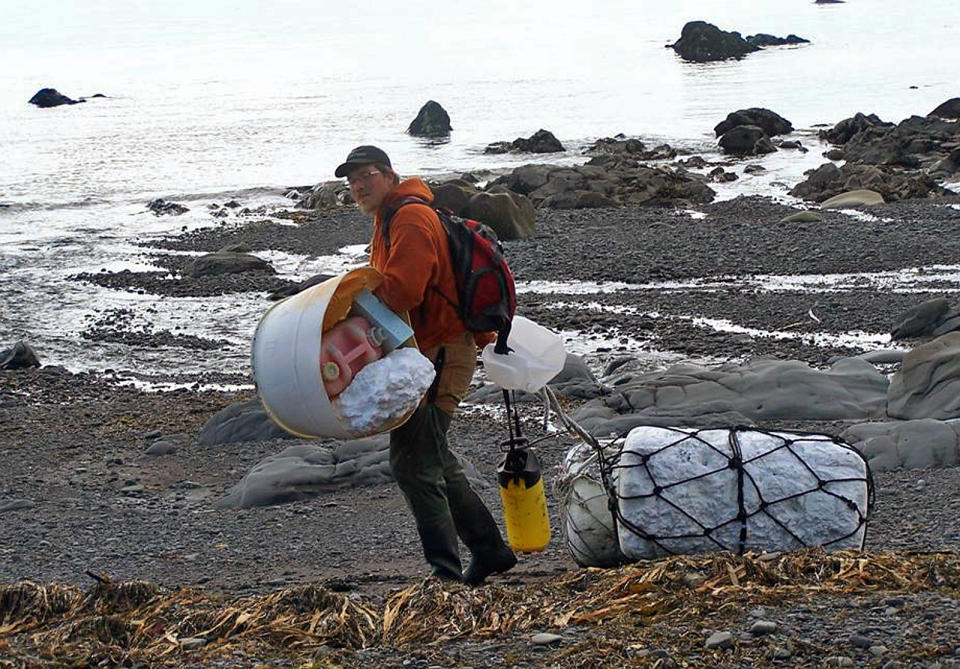 In this June 6, 2012 photo provided by Ryan Pallister, Patrick Chandler removes tsunami debris on Montague Island near Seward, Alaska. More than a year after a tsunami devastated Japan, killing thousands of people and washing millions of tons of debris into the Pacific Ocean, neither the U.S. government nor some West Coast states have a clear plan for how to clean up the rubble that floats to American shores. (AP Photo/Gulf of Alaska Keeper, Ryan Pallister)