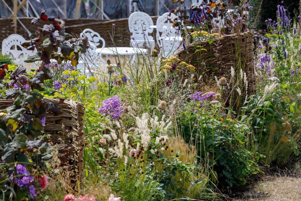 <p><strong><strong>FEATURE GARDEN</strong></strong></p><p>Marking the perimeter of the Festival of Roses is this garden which celebrates <a href="https://www.housebeautiful.com/uk/lifestyle/a39761694/queens-platinum-jubilee-logo/" rel="nofollow noopener" target="_blank" data-ylk="slk:The Queen's Platinum Jubilee;elm:context_link;itc:0;sec:content-canvas" class="link ">The Queen's Platinum Jubilee</a>. It's packed with David Austin roses, with one cultivar for each decade of Her Majesty's reign. From pure white to pale pink, the roses are complemented by shrubs and low-level planting to help create an informal and romantic garden style.</p>