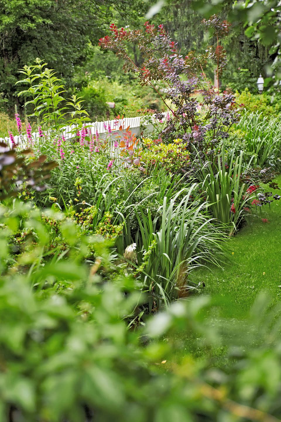 <p>Rounded and sword-shaped foliage populate the garden of this Pennsylvania home, adding interest to the front-yard border even when little is blooming. "The iris leaves act like exclamation points," the owner says.</p><p><strong><a href="https://www.countryliving.com/home-design/house-tours/g1639/jon-carloftis-pennsylvania-garden-home/" rel="nofollow noopener" target="_blank" data-ylk="slk:Read more about this Pennsylvania home;elm:context_link;itc:0;sec:content-canvas" class="link ">Read more about this Pennsylvania home</a></strong><strong>.</strong></p><p><a class="link " href="https://www.amazon.com/s?k=garden+food&i=lawngarden&ref=nb_sb_noss_2&tag=syn-yahoo-20&ascsubtag=%5Bartid%7C10050.g.1432%5Bsrc%7Cyahoo-us" rel="nofollow noopener" target="_blank" data-ylk="slk:SHOP PLANT FOOD;elm:context_link;itc:0;sec:content-canvas">SHOP PLANT FOOD</a></p>