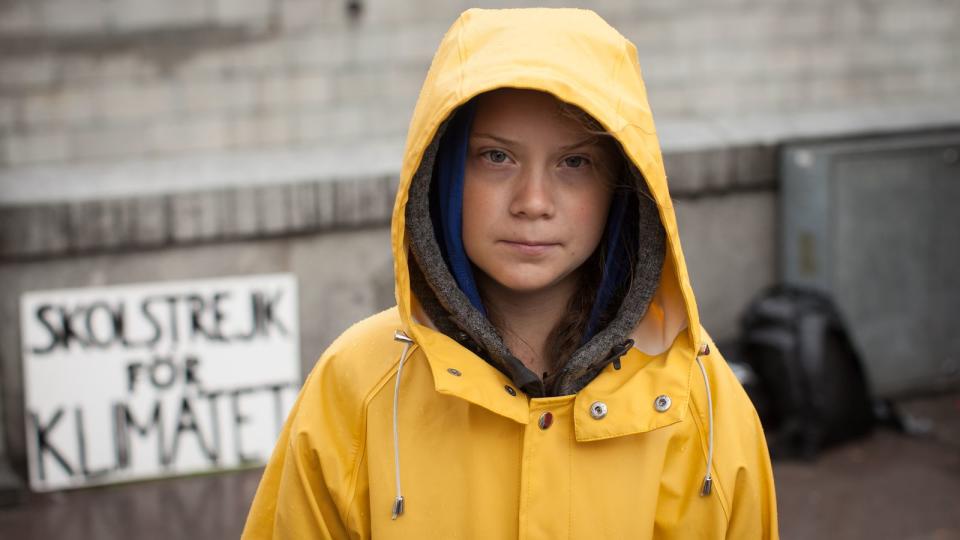 Greta Thunberg bei einem der Schulstreiks unter dem Motto "Fridays for Future", mit denen sie als junge Klimaaktivistin weltberühmt wurde. (Bild: Anders Hellberg / Wikimedia Commons / CC BY-SA 4.0)