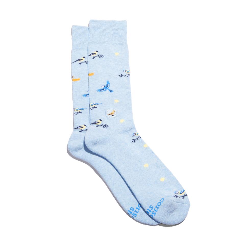 <p><a href="https://go.redirectingat.com?id=74968X1596630&url=https%3A%2F%2Fconsciousstep.com%2Fproducts%2Fsocks-that-protect-song-birds&sref=https%3A%2F%2Fwww.redbookmag.com%2Flife%2Ffriends-family%2Fg60467147%2Fearth-day-gifts%2F" rel="nofollow noopener" target="_blank" data-ylk="slk:Shop Now;elm:context_link;itc:0;sec:content-canvas" class="link ">Shop Now</a></p><p>Socks That Protect Songbirds</p><p>consciousstep.com</p><p>$15.95</p>