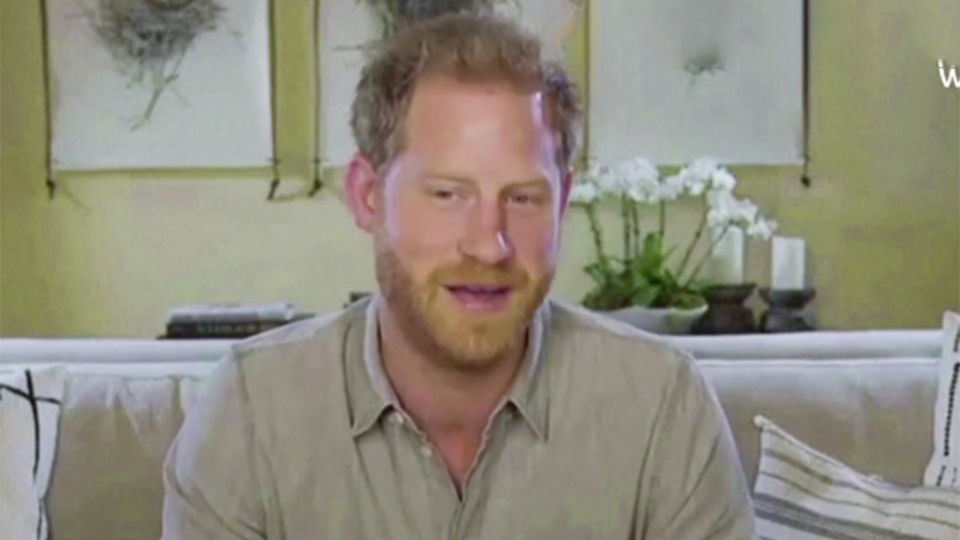 Prince Harry appears in waterbear interview links coronavirus and climate change