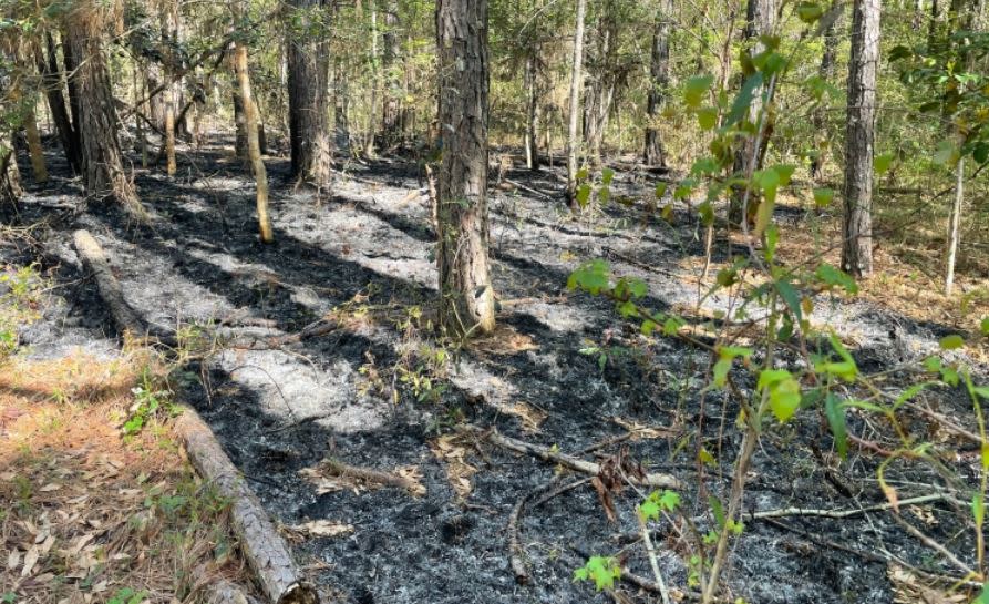 The site of one wildfire Sunday near the Freedom Trail at Fort Raleigh National Historic Site near Manteo. Photo courtesy: National Park Service