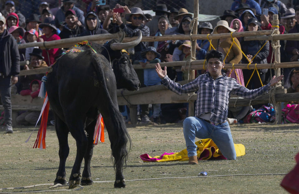 Un novillero aficionado ante un toro durante la festividad católica en honor de la Virgen del Rosario, en el pueblo andino de Huarina, Bolivia, el lunes 9 de octubre de 2023. Un grupo de novilleros aficionados alistas una actuación caricaturizada del toreo español, pero sin sacrificar a los toros. (AP Foto/Juan Karita)