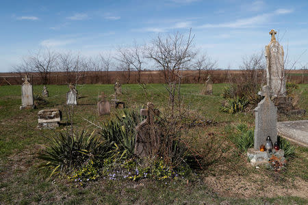 Tombstones are seen in the cemetery of the village of Bacsszentgyorgy, Hungary, April 3, 2018. REUTERS/Bernadett Szabo