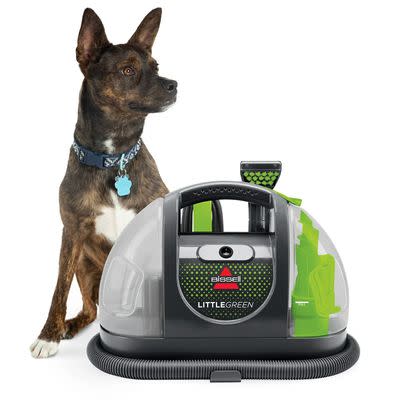 The famous and beloved Bissell Little Green carpet cleaner (up to 37% off list price)