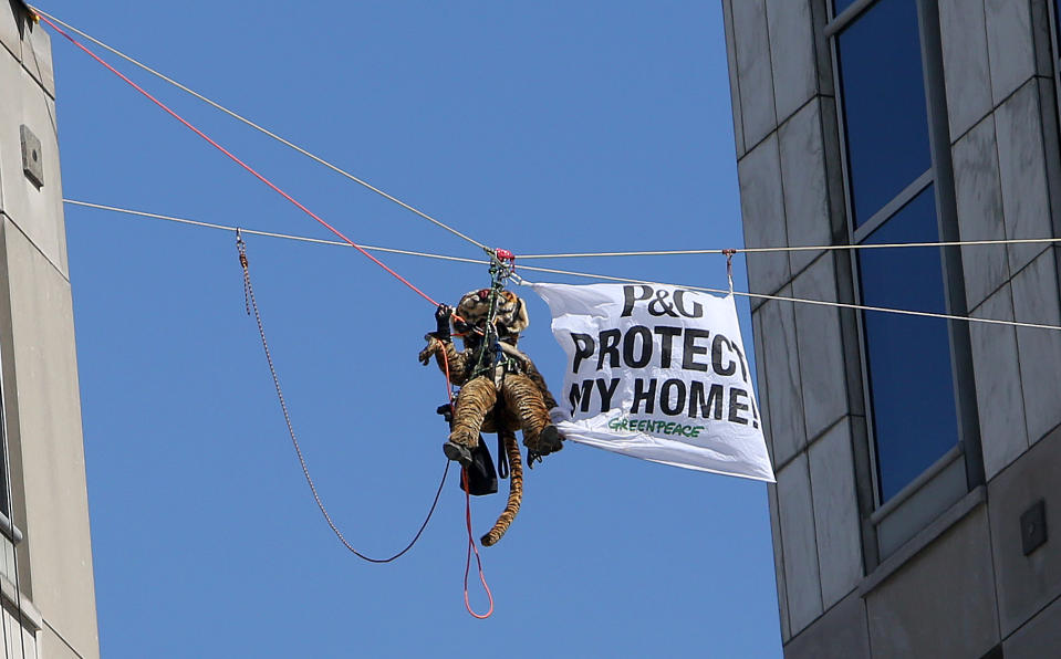 Greenpeace activists, including this one dressed in a tiger suit, rappel and hang banners in protest of Procter & Gamble outside of the company's headquarters, in downtown Cincinnati, Tuesday, March 4, 2014. The environmental organization says the 60-foot banners on P&G's two towers were in protest of the consumer products company's use of palm oil from a supplier that Greenpeace says is linked to tropical forest destruction in Indonesia. (AP Photo/The Cincinnati Enquirer Amanda Rossmann)