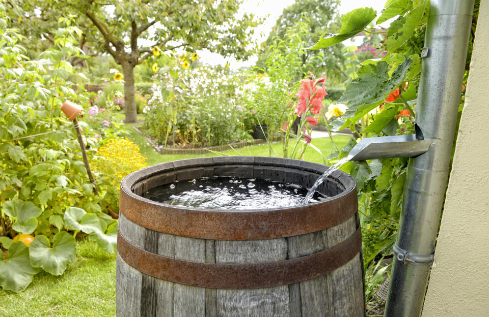 Pourquoi récupérer l’eau de pluie au jardin ?