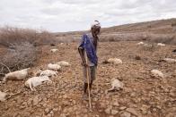 Shama Sharamo stands next to the corpses of his livestock, near North Horr, Marsabit county
