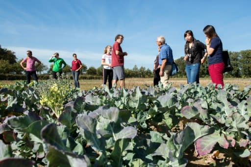 Some 200 families decide what the farm will produce -- and they will eventually eat