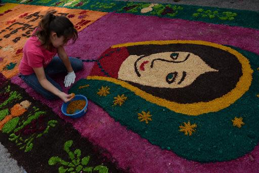 Una voluntaria ayuda a presentar una alfombrasde flores y aserrín de colores, hecha por los empleados municipales y voluntarios, estableciendo un nuevo récord mundial Guinness por su extensión, el 17 de abril de 2014 en Ciudad de Guatemala (AFP | Johan Ordóñez)