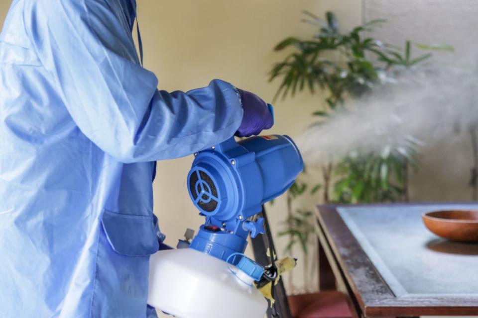 Fumigation Cost