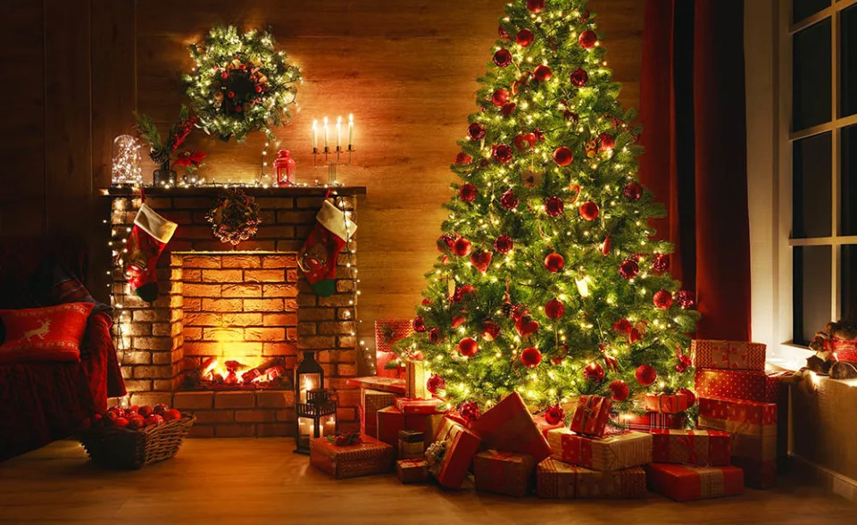 聖誕樹（Image Source : Getty Creative/iStockphoto）