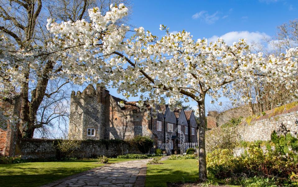 The Cherry Garden in April at Greys Court, Oxfordshire