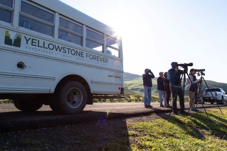 A Yellowstone Forever group watching a grizzly bear in Yellowstone's Lamar Valley