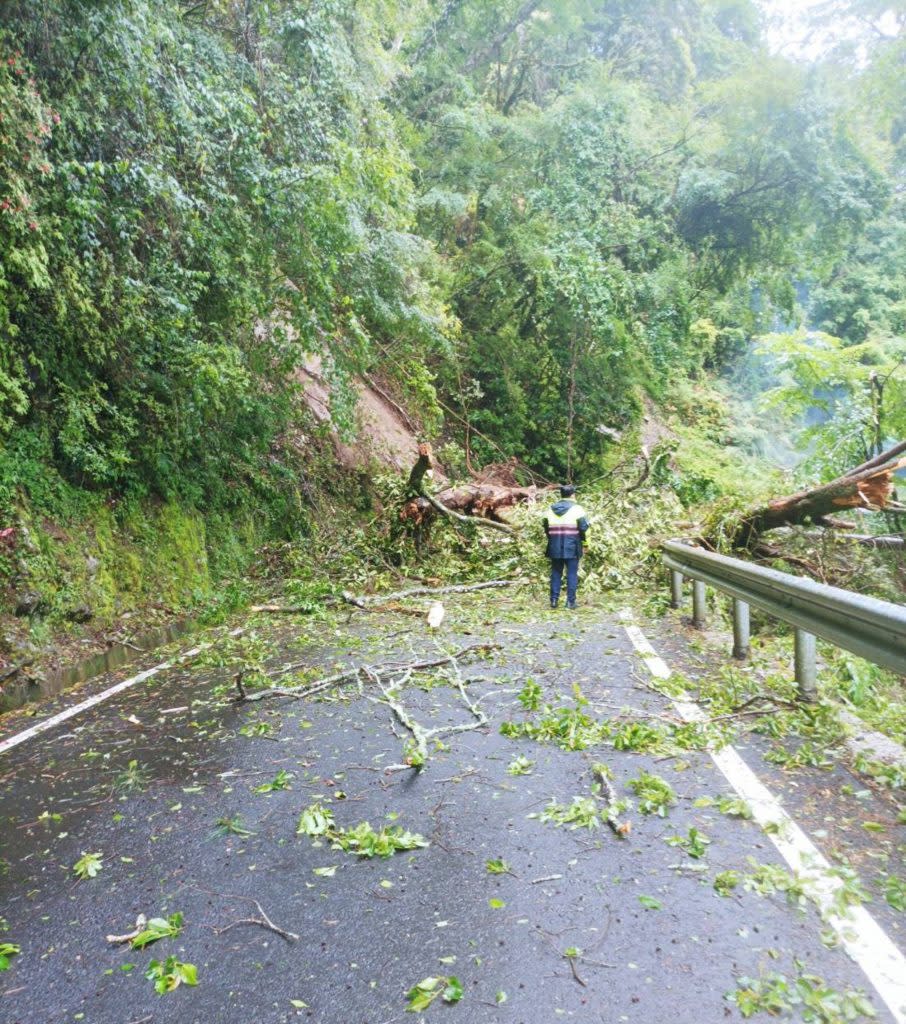 連日豪雨各地紛傳災情，圖為南投縣仁愛鄉土石沖刷導致路樹倒塌，波及附近電線桿造成停電。（台電提供）