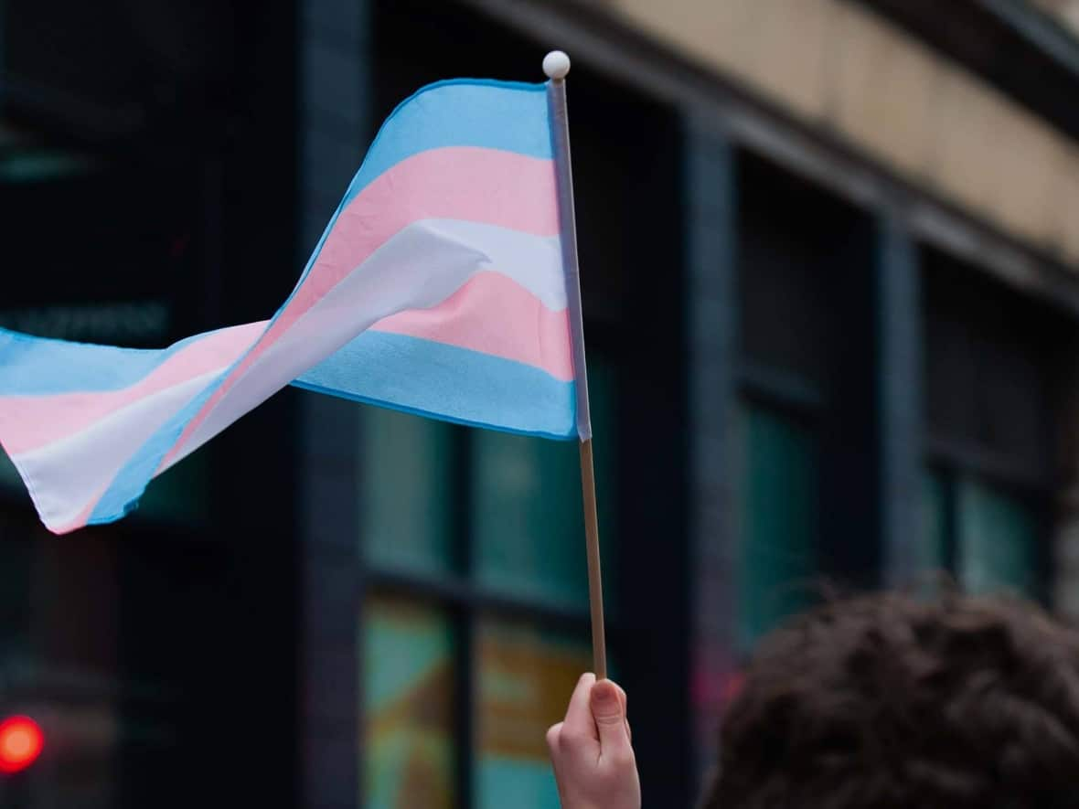 Trans activists were shocked when they discovered a women's rights group spreading anti-trans misinformation is being funded by the Quebec government. (Nicky Ebbage/iStock - image credit)