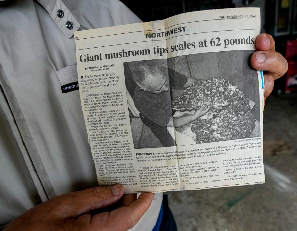 Bruno Iacovone holds the Providence Journal article recounting his discovery of a 62-pound hen of the woods mushroom in 1998, the high point of his decades of foraging.