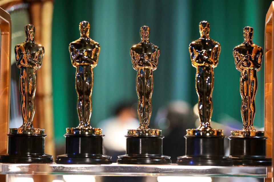 <p>Al Seib/A.M.P.A.S. via Getty</p> Oscars