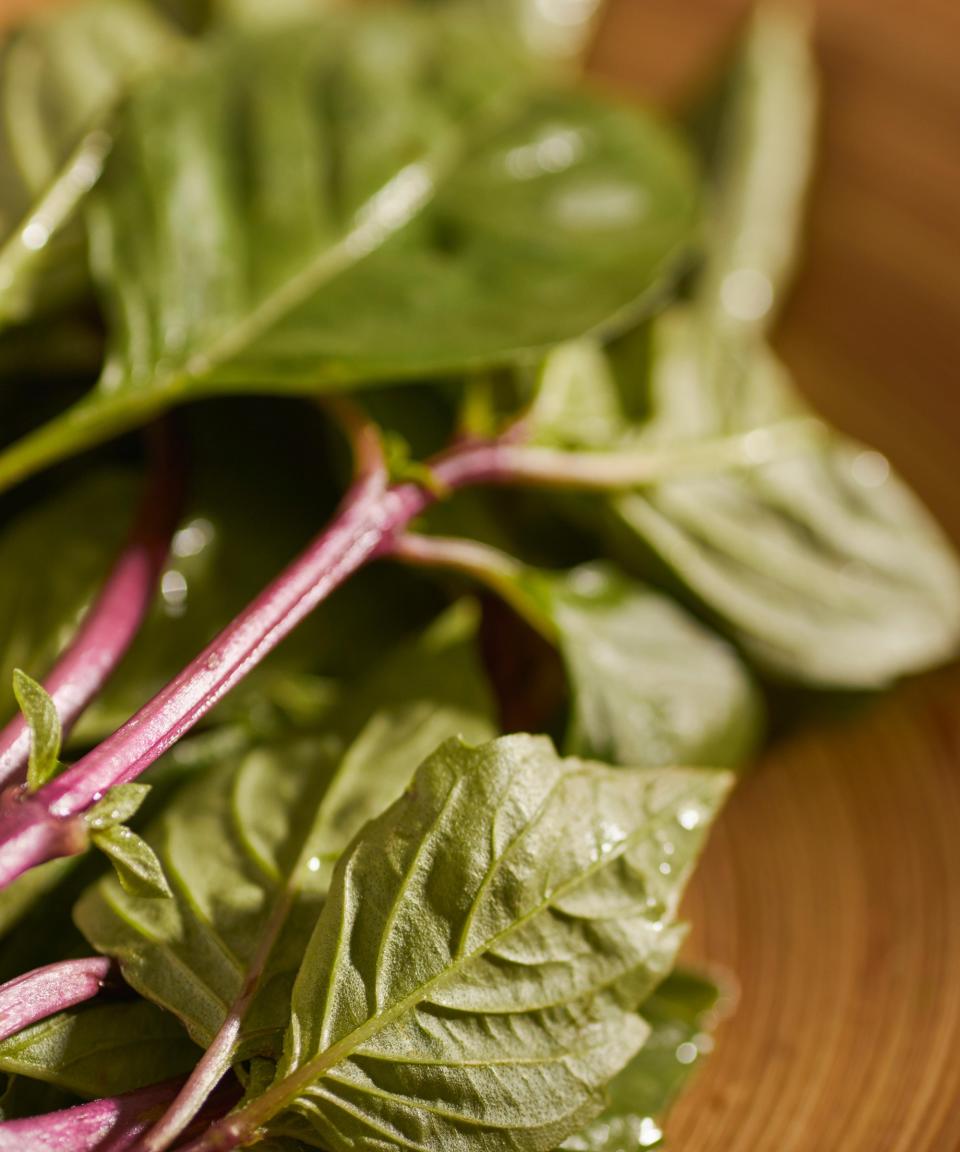 A pile of harvested Thai basil leaves on a board