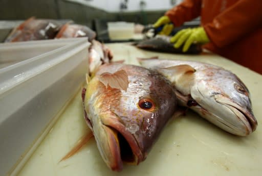 The NGO Oceana said it analyzed the DNA of 449 fish purchased from March to August 2018 in half of the US states and found that 94 were incorrectly labeled