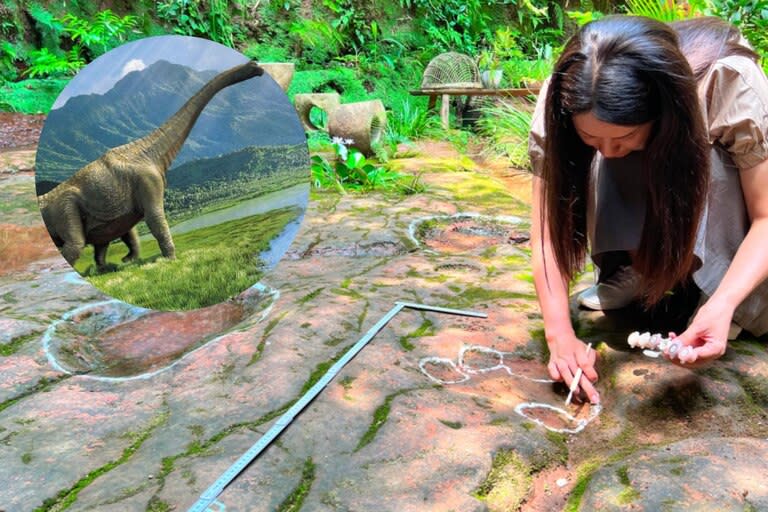 Fue a cenar y descubrió las huellas fósiles de un dinosaurio de más de 100 millones de años