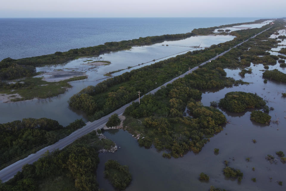 A highway cuts through a mangrove forest near the Dzilam de Bravo Reserve, in Mexico’s Yucatan Peninsula, Saturday, Oct. 9, 2021. In Mexico, as in much of the world, the largest threat to mangroves is development. The region near Cancun lost most of its historic mangroves to highways and hotels starting in the 1980s. (AP Photo/Eduardo Verdugo)