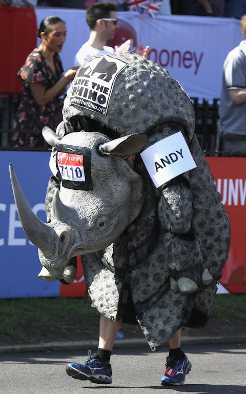 rhino costume - Credit: GETTY IMAGES