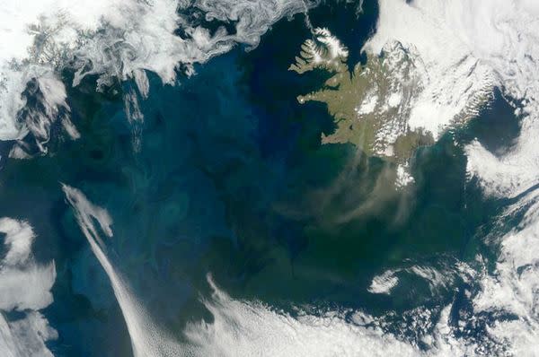 Plankton blooms in the North Atlantic in this photo taken in spring, 2012.