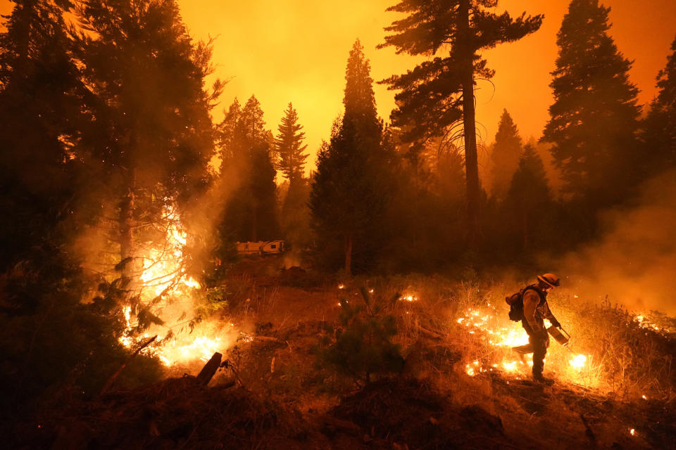 Firefighter Ricardo Gomez, of a San Benito Monterey Cal Fire crew, sets a controlled burn with a drip torch while fighting the Creek Fire, Sunday, Sept. 6, 2020, in Shaver Lake, Calif. Firefighters trying to contain the massive wildfires in Oregon, California and Washington state are constantly on the verge of exhaustion as they try to save suburban houses, including some in their own neighborhoods. (AP Photo/Marcio Jose Sanchez)