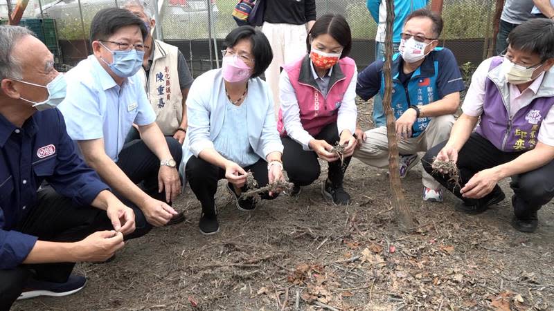 葡萄藤長效木質分解液推廣　減少露天燃燒還肥於田