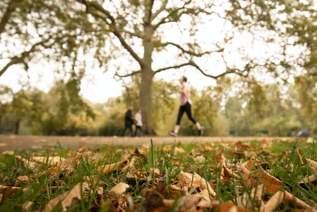 Autumn weather Oct 18th 2020