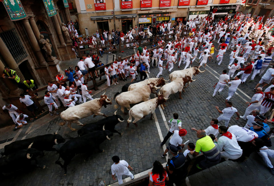 Revellers sprint near bulls and steers during the running of the bulls at the San Fermin festival in Pamplona, Spain, July 11, 2019. (Photo: Susana Vera/Reuters)