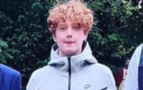 Harry Pitman was stabbed to death in north London on New Year’s Eve