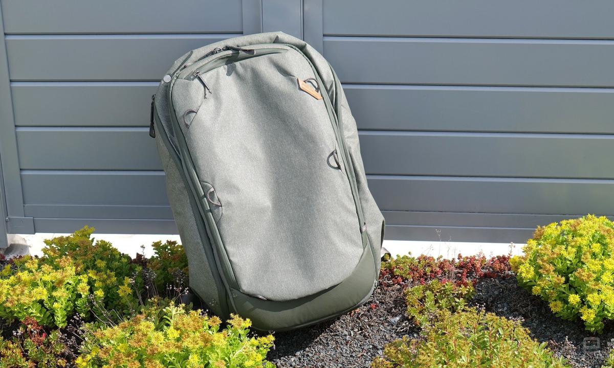 Dagne Dover Dakota Backpack Review: a Great Bag for Work