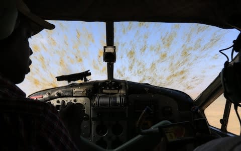 Locusts smeared across the windshielf of the beaver turbo plane after it has flown through a swarm - Credit: Keith Cressman