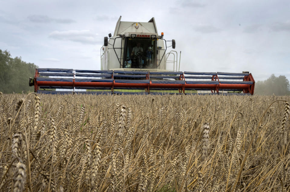 FILE - A harvester collects wheat in the village of Zghurivka, Ukraine, on Aug. 9, 2022. Russia has suspended on Monday July 17, 2023 a wartime deal brokered by the U.N. and Turkey that was designed to move food from Ukraine to parts of the world where millions are going hungry. (AP Photo/Efrem Lukatsky, File)