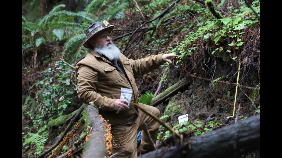 Wayne Thompson, a paleontologist with the museum, onsite in the Santa Cruz Mountains. Photo from Santa Cruz Museum of Natural History