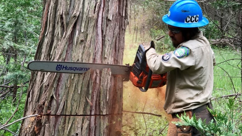 Hot weather, dead trees and too much rain add up to dangerous fire season in California