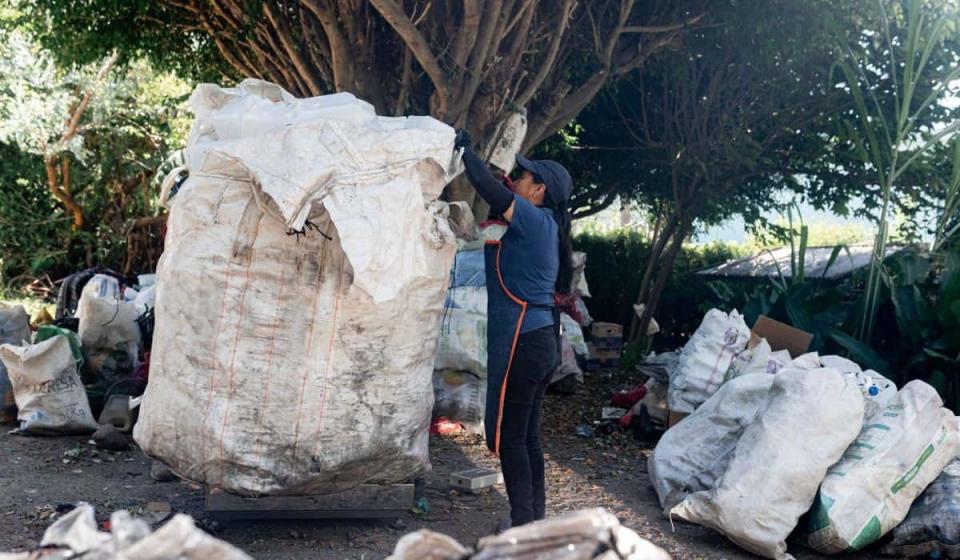 Trulab ha logrado impactar a más de 2.000 recicladores, reduciendo el rechazo de material de un 15 % a un 4 % en las toneladas aprovechadas. Foto: Cortesía