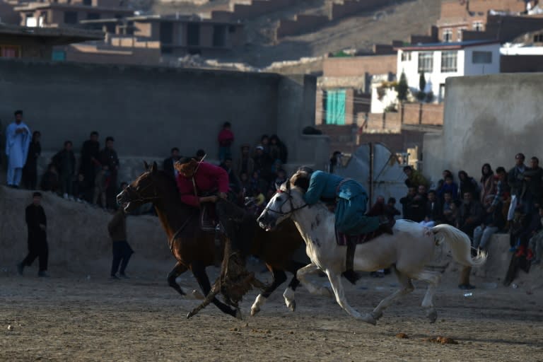 Buzkashi involves ripping a 50-kilogramme carcass from the fray of horses and dropping it in the "circle of justice" traced on the ground in lime -- after doing a lap of the field at a full gallop