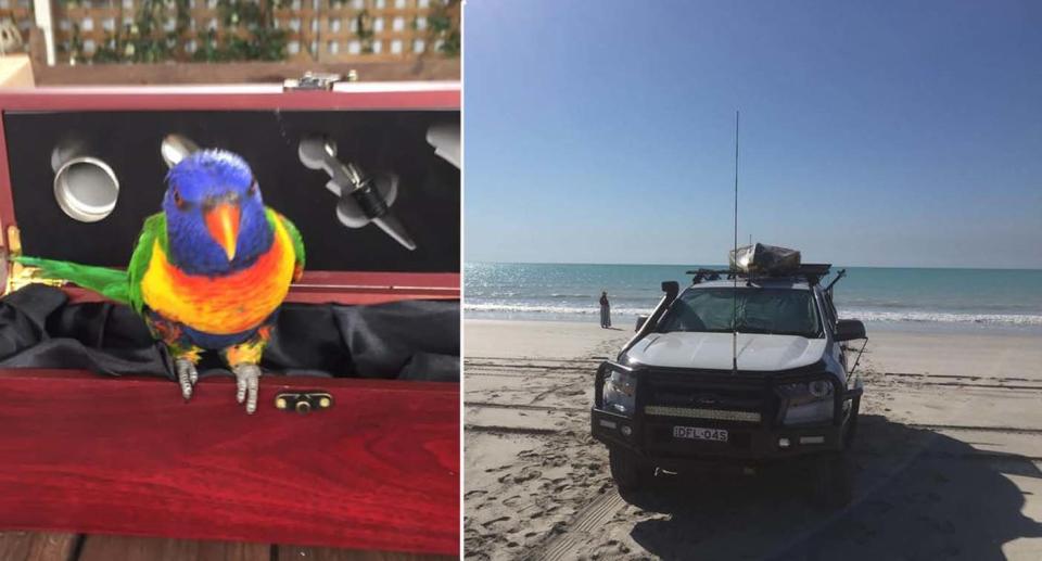 The bird has been in the family for 12 years (left). The car that was stolen can be seen on the beach (right).